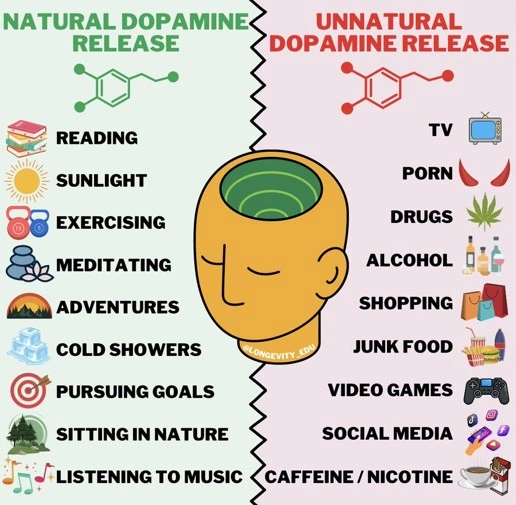 natural vs. unnatural sources of dopamine